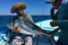 roosterfish catch