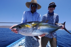 Yellowfin tuna catch