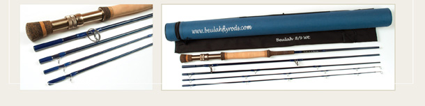 Blue Water Fishing Rods