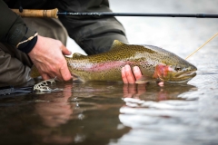 fly fishing casting streamers for trout