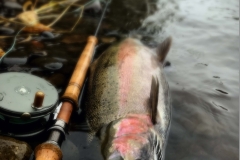 spey casting beulah fly rods for steelhead