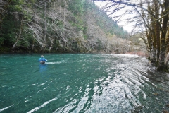 swinging flies for steelhead