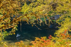 spey casting on the North Umpqua River for steelhead
