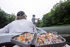 delaware river new york trout fishing
