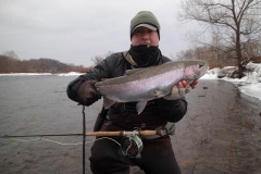 great lake steelhead