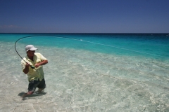 Baja-BO-fish-on-beach-1-72-600