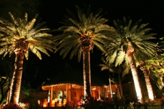 Baja-great-room-3-72-600
