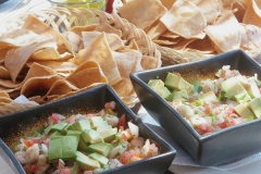 Baja-lunch-3-72-600