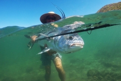 roosterfish and rod