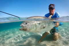 big jack crevalle