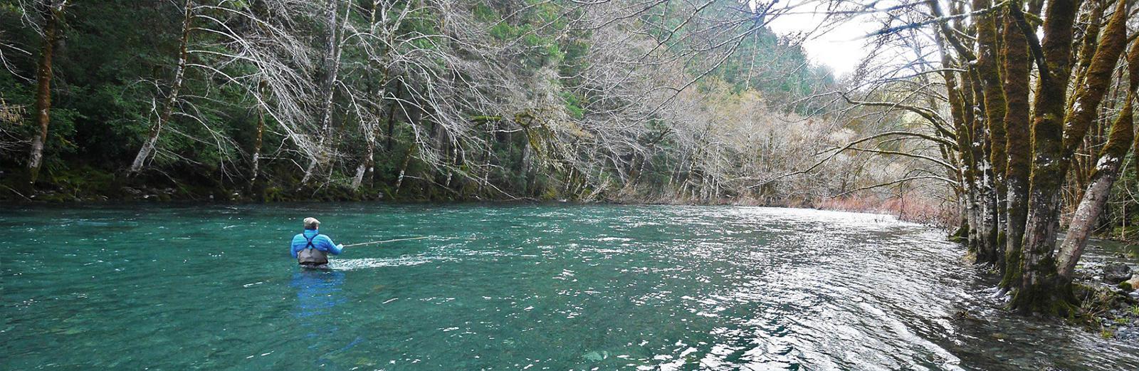 Aero Head Line Beulah Fly Rods