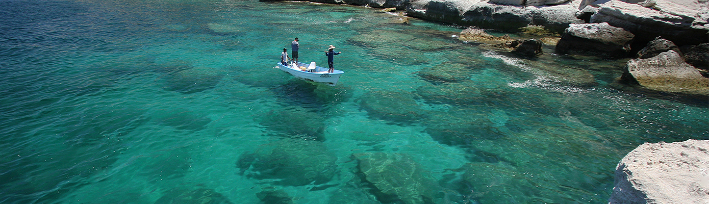 baja rocks header